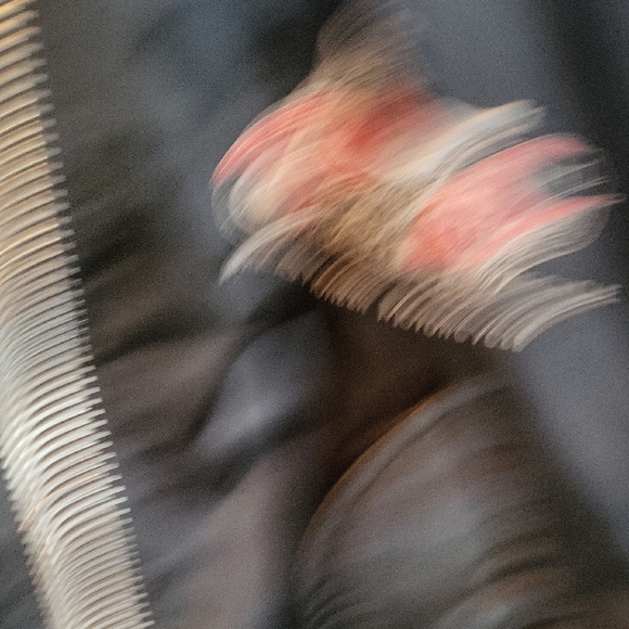 Indian Moto Black Bomber Jacket - Picture 3 of 8